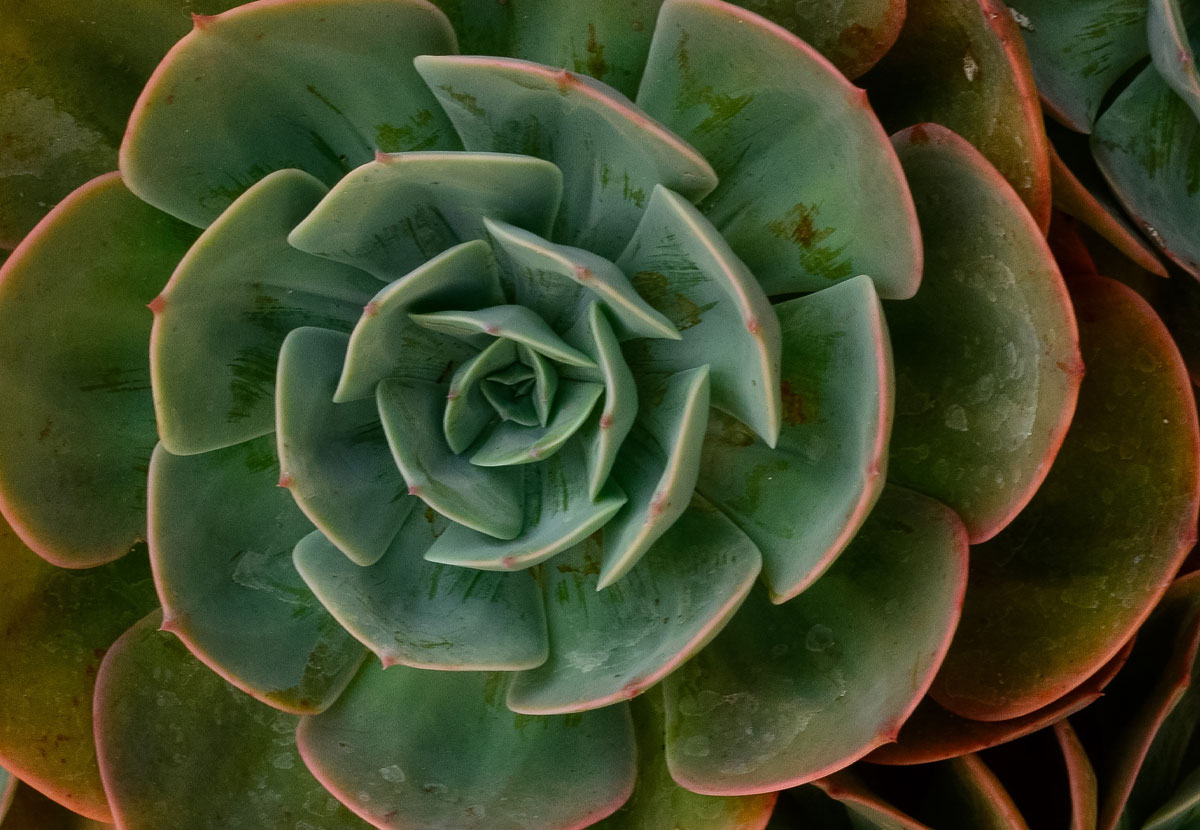 Addiction-Service-Hero Alcohol & Addiction Recovery